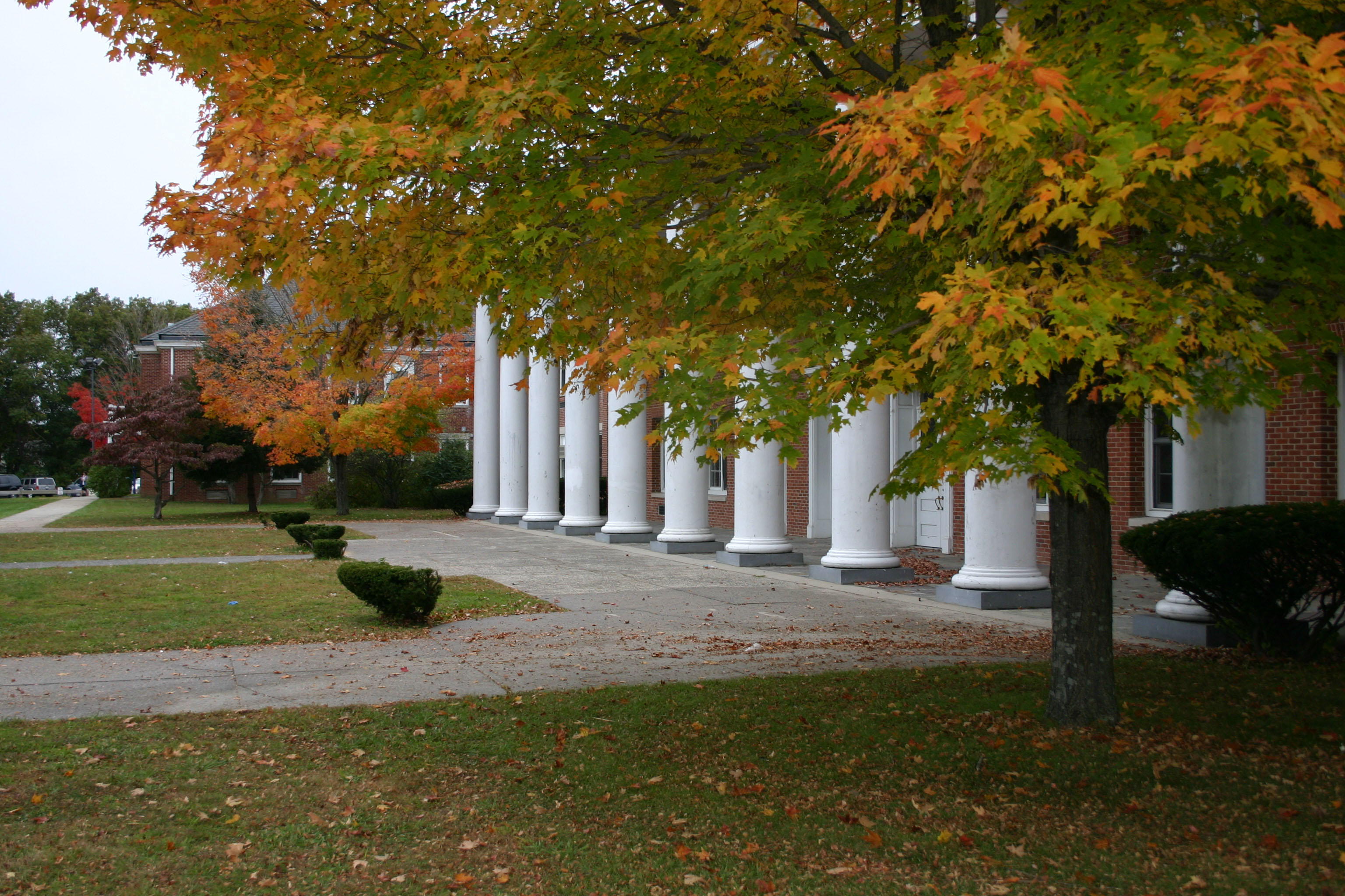 pillars of a school in autumn